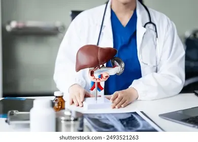 Gastroenterologist in Hooghly explaining liver and digestive system model during consultation